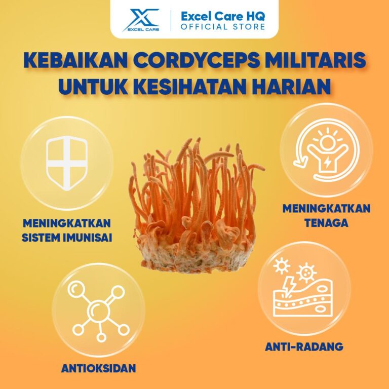 Poster 8